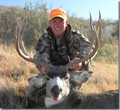 Very nice buck mule deer on private land.