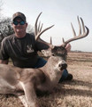 Hunt whitetail in warm weather.