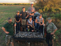 Dove hunts in Texas.