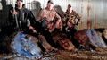 Family hunting together for whitetail and hogs.