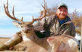 Wide trophy whitetail buck.