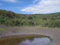 Ponds are an elk and deer magnate.