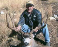 Wyoming trophy buck mule deer.