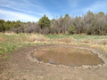 Water hole to sit on hunting deer, elk and black bear.