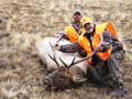 Happy hunters with their elk.  Now the work starts.