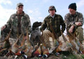 Successful day of pheasant hunting in Nebraska.