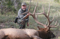 You pick your hunt based on your preference points in Wyoming.