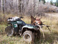 Hauling an elk on an ATV makes a difference.