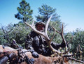Hunt #5072 Semi-guided/DIY Mule Deer/Elk Horse/ATV/Base Camp
