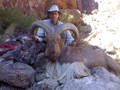 Aoudad hunts.