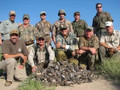 Dove hunts.