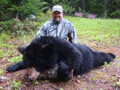 Canada black bear.