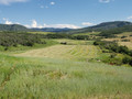 Farmland elk and deer hunt.