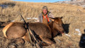 Cheaper cow elk licenses than CO