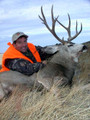 Trophy Wyoming mule deer