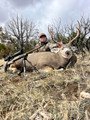 Great outfitter for mule deer.
