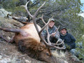 High success trophy bull elk Wyoming.