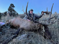 Trophy bull elk hunts in WY.