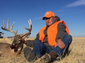 Whitetail hunting at it's best in CO.