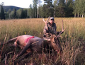 Mountain meadows for elk hunting.
