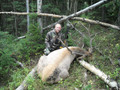 Hunt #5024 DIY/Semi-Guided Elk Private Land