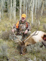Hunt #5024 DIY/Semi-Guided Cow Elk Private Land