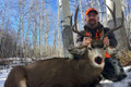 Trophy mule deer hunts.