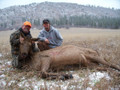 Meat in the freezer for the next year.