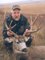 Canada mule deer hunting.