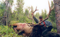 Trophy elk hunts.