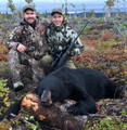 Black bear in Canada.