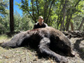 Black bear hunts.