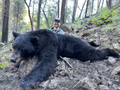 Hunt black bear in NM.