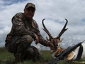 CO Pronghorn Antelope Hunts.