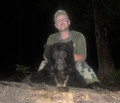 Hunting black bear is a blast.