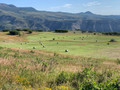 Lots of private acreage to hunt.