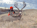 Hunt #8000 Guided Montana Mule Deer