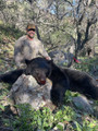 Rifle black bear hunts.