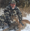 Nevada lion hunt.