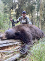 Guided ID black bear hunt.