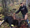 Lower 48 moose hunting.