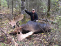 Shiras moose hunts
