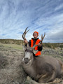 Trophy CO mule deer hunting