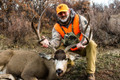 DIY trophy mule deer hunting