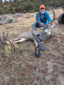 Trophy mule deer hunts