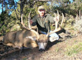 Good mountain mule deer buck.