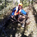 Fully guided or DIY lodging hunts