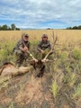 Big bull in CO.