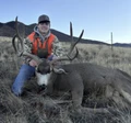 Mule deer trophy