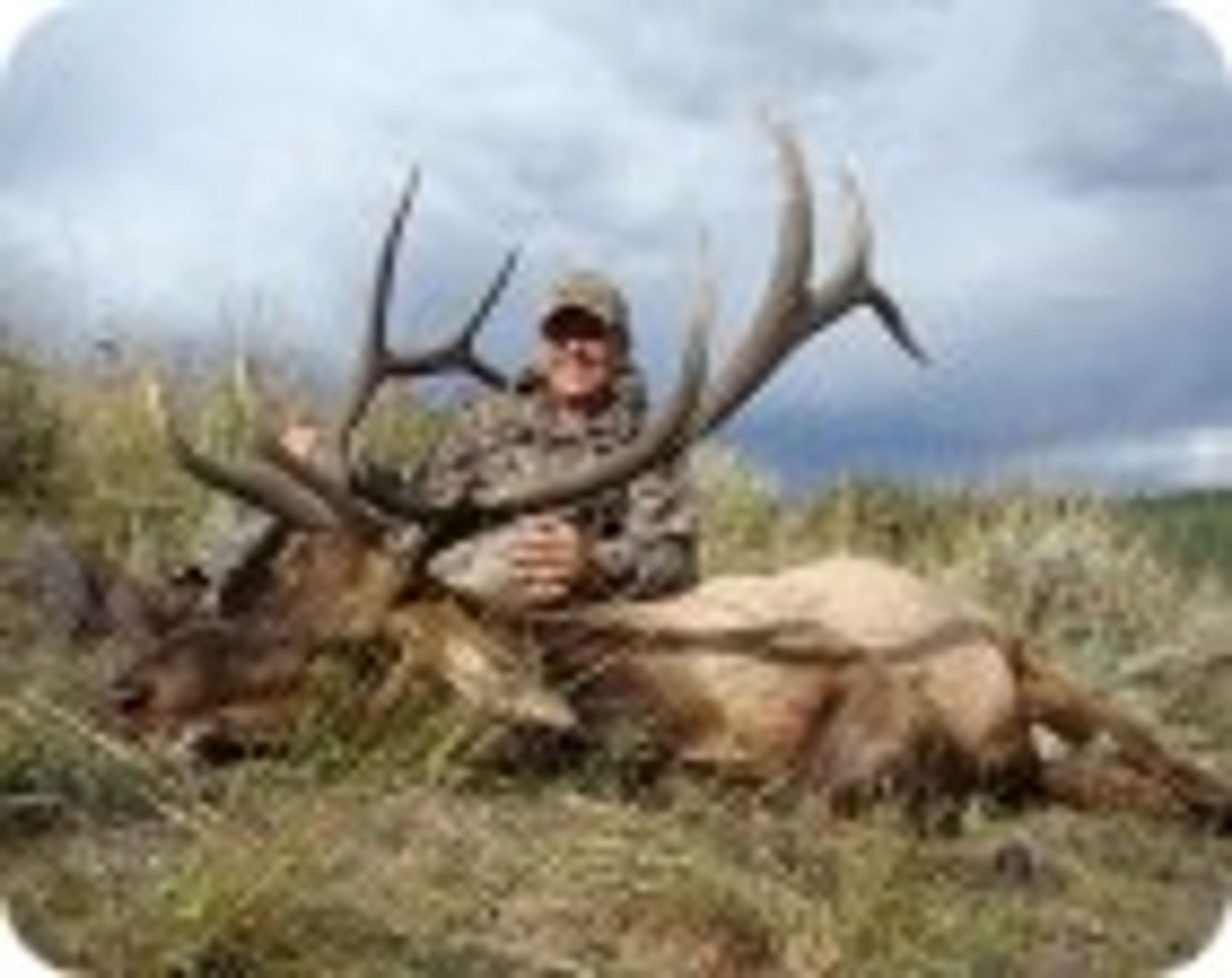 Colorado Guided Trophy Elk Private Land Hunt